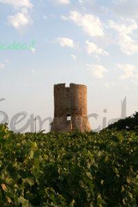 Torre Saracena, Granitola (TP) na_pa_0040